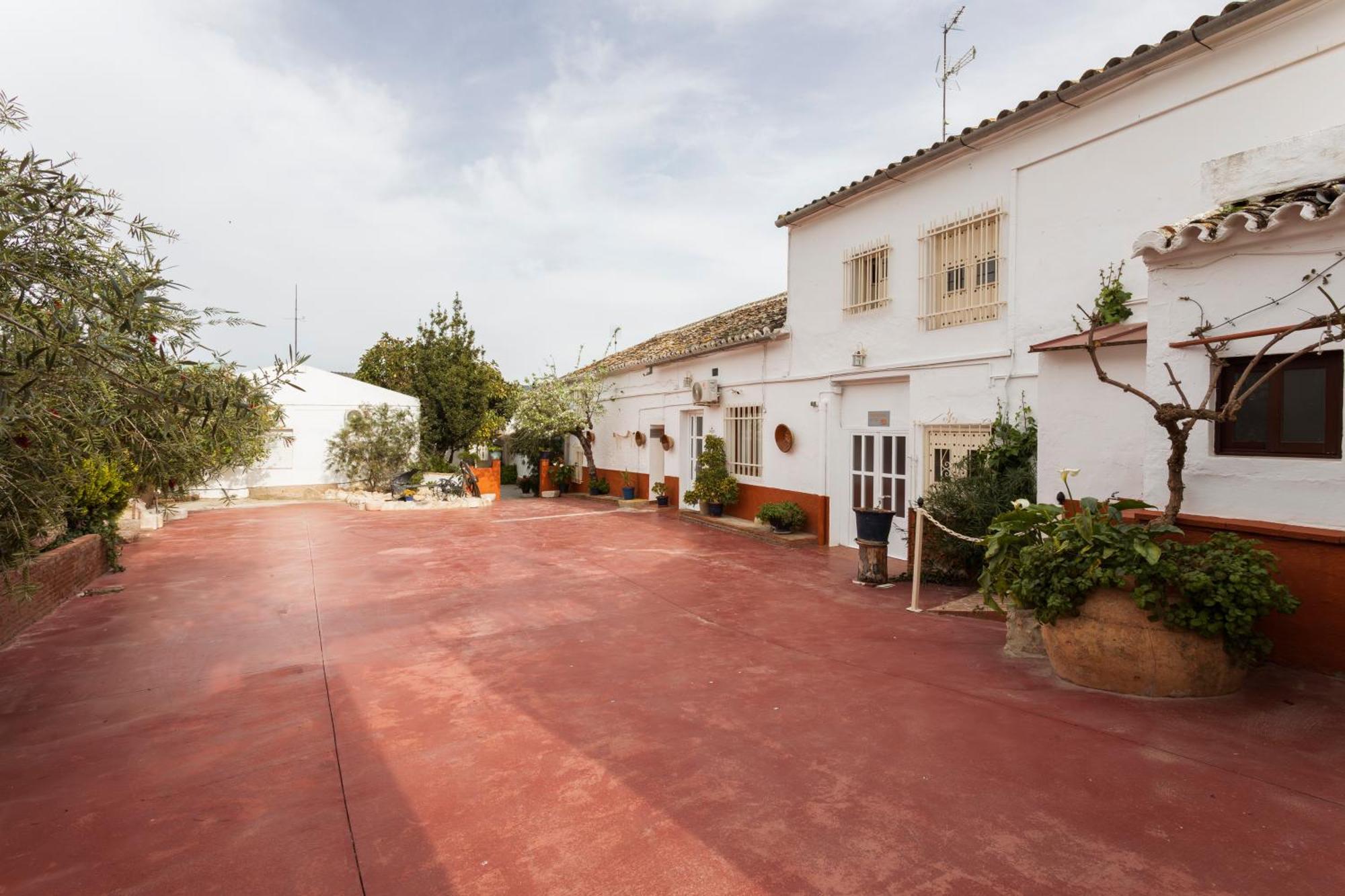 Molino De Lucero, * Teba